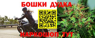 гашик Бердск