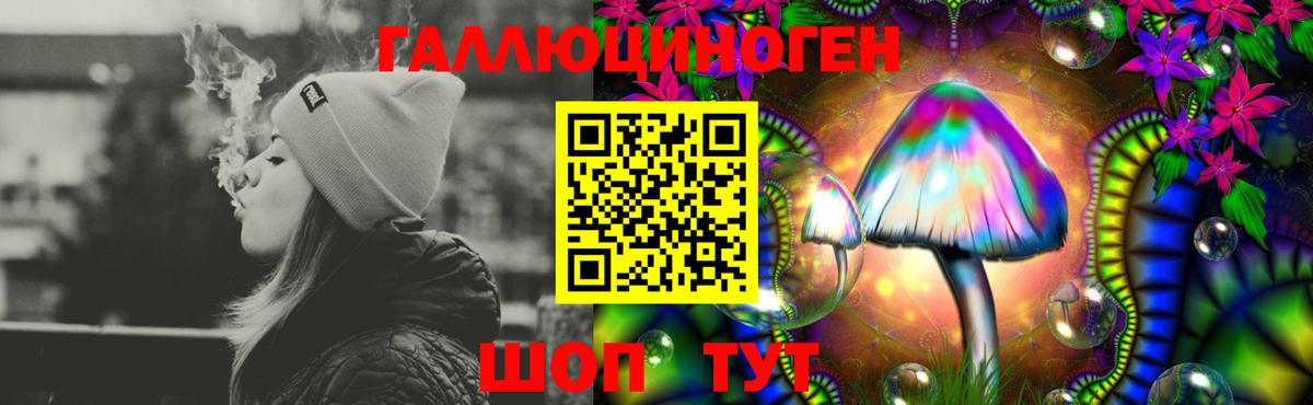 Галлюциногенные грибы GOLDEN TEACHER  Псилоцибиновые грибы ЛСД  Вход с VPN  Зерноград 